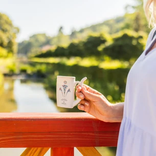 Therapeutic springs in MIRAMARE Spa Hotels