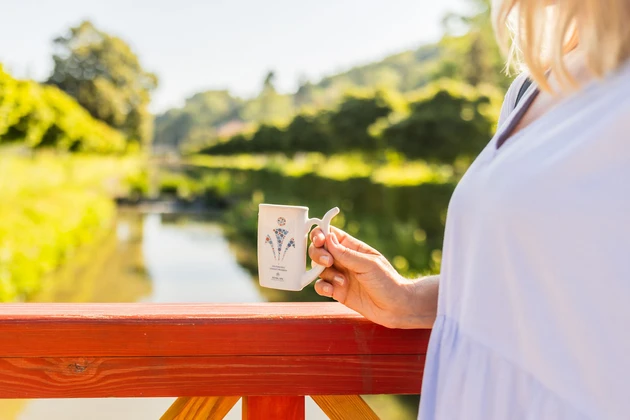 Léčebné prameny v Lázeňských hotelech MIRAMARE